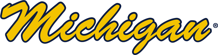 Michigan Wolverines 2016-Pres Wordmark Logo v3 t shirts iron on transfers